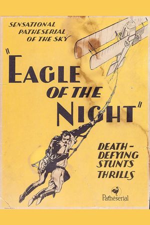 Eagle of the Night's poster