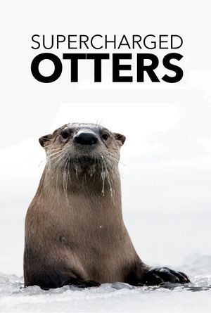 Supercharged Otters's poster