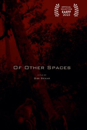 Of Other Spaces's poster