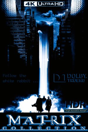 The Matrix's poster