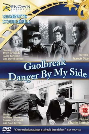 Danger on My Side's poster