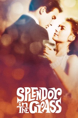 Splendor in the Grass's poster