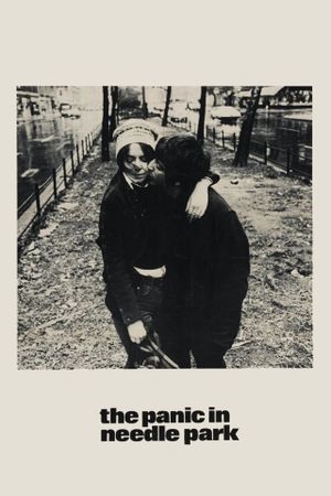 The Panic in Needle Park's poster