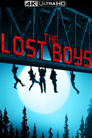 The Lost Boys's poster