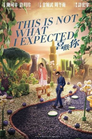 This Is Not What I Expected's poster