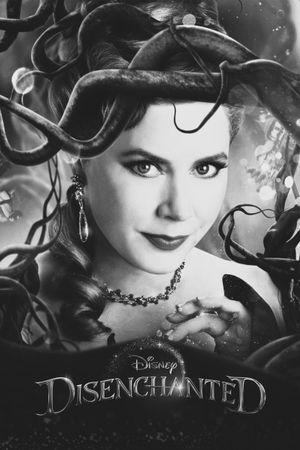 Disenchanted's poster