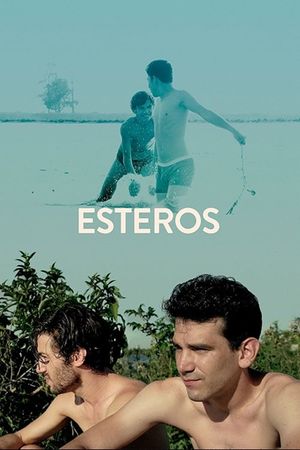 Esteros's poster