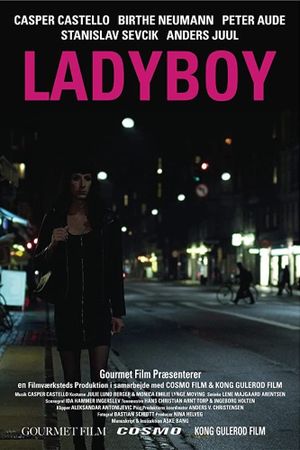 Ladyboy's poster