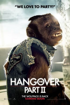 The Hangover Part II's poster
