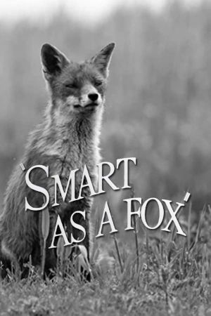 Smart as a Fox's poster image