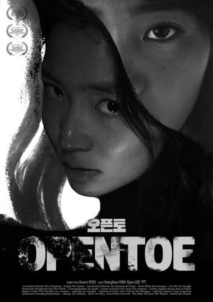 Opentoe's poster