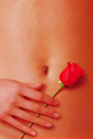 American Beauty's poster