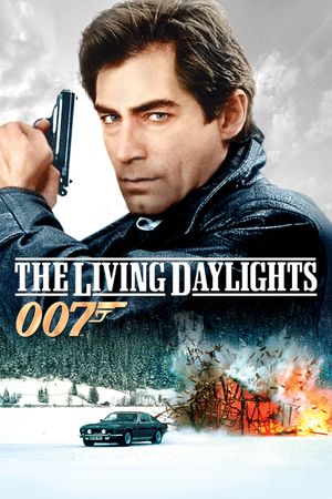 The Living Daylights's poster