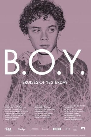 B.O.Y. - Bruises of Yesterday's poster