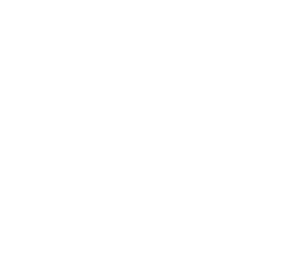 Female Agents's poster