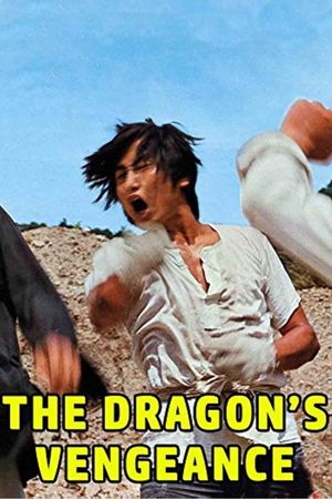 The Dragon's Vengeance's poster