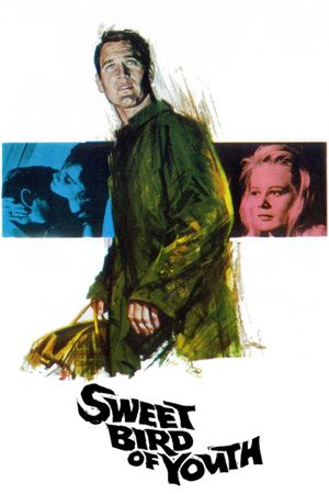 Sweet Bird of Youth's poster