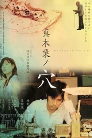 The Hole's poster