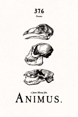 Animus's poster