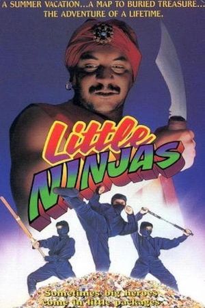 Little Ninjas's poster