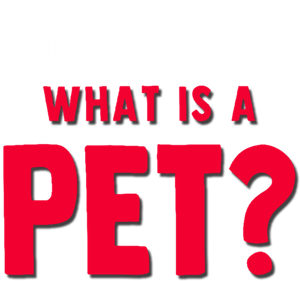 Forky Asks a Question: What Is a Pet?'s poster