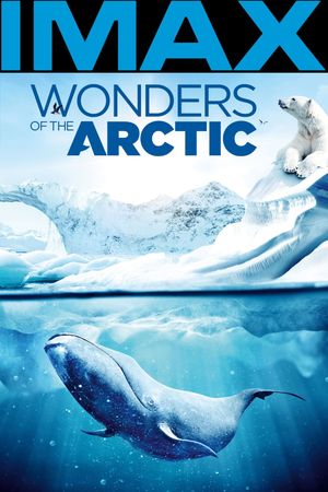Wonders of the Arctic's poster