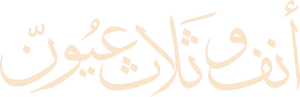 A Nose and Three Eyes's poster