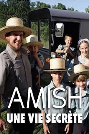Amish: A Secret Life's poster