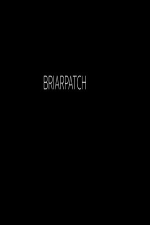 Briarpatch's poster image