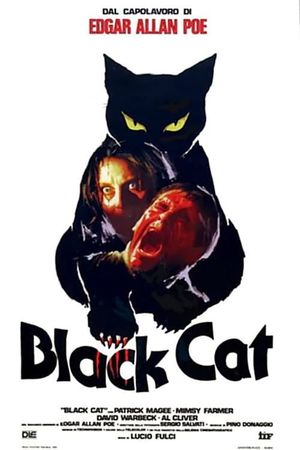 The Black Cat's poster