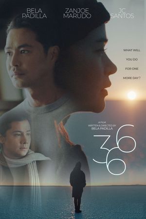 366's poster