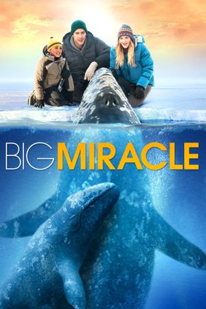 Big Miracle's poster