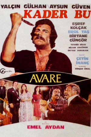 Kader Bu / Avare's poster