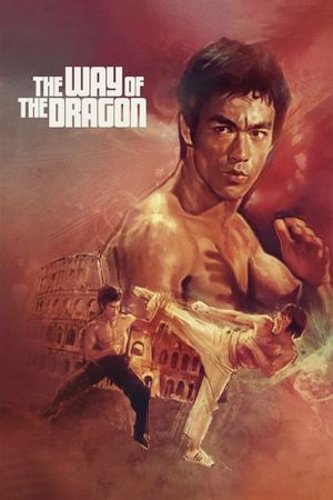 The Way of the Dragon's poster