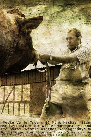 The Bull's poster