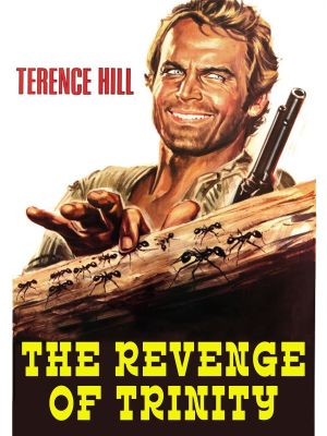 The Wind's Fierce's poster