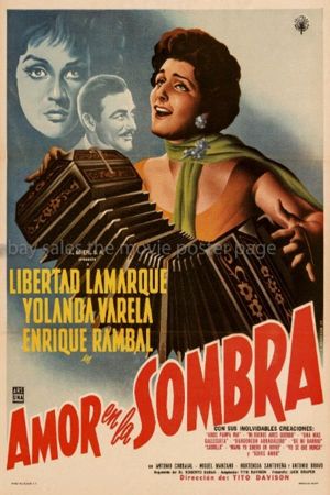 Amor en la sombra's poster