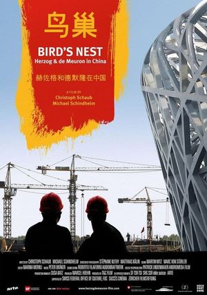 Bird's Nest - Herzog & De Meuron in China's poster