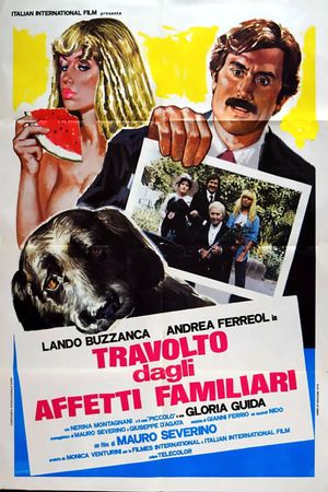 Travolto dagli affetti familiari's poster