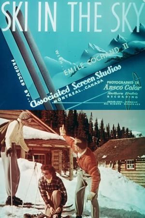 Ski in the Sky's poster image