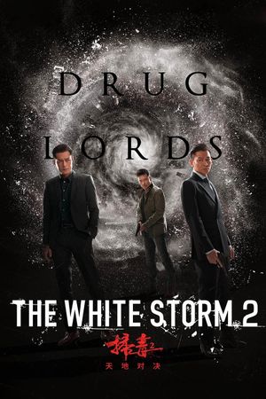 The White Storm 2: Drug Lords's poster