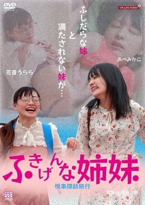 The Grumpy Sisters - Pleasure-Seeking Trip's poster