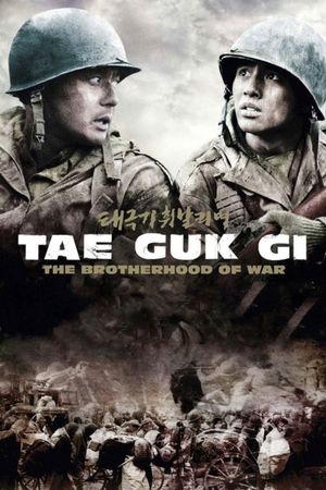 Tae Guk Gi: The Brotherhood of War's poster image