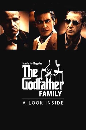 The Godfather Family: A Look Inside's poster