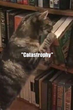 Catastrophy's poster