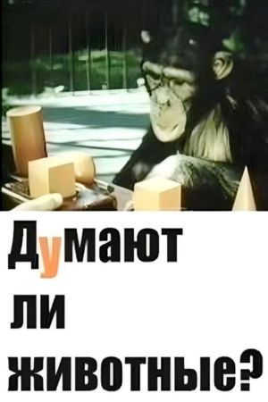 Do Animals Think?'s poster