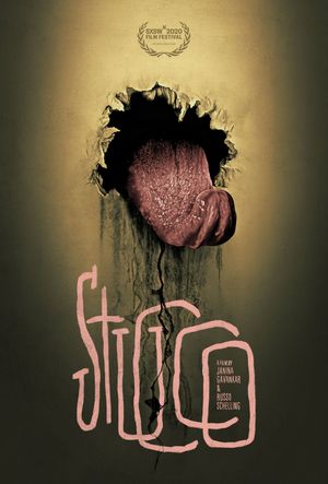 Stucco's poster image