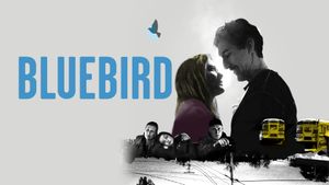 Bluebird's poster