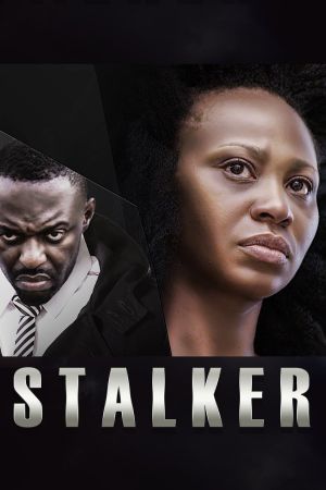 Stalker's poster