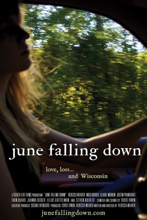 June Falling Down's poster